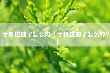 手机进油了怎么办（手机进油了怎么办？）