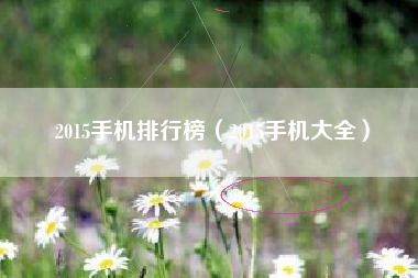 2015手机排行榜（2015手机大全）