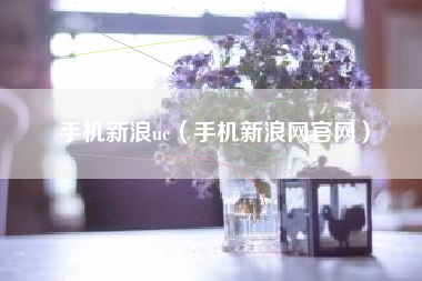 手机新浪uc（手机新浪网官网）
