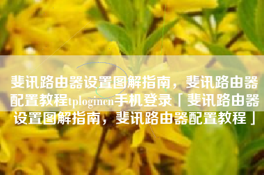 斐讯路由器设置图解指南，斐讯路由器配置教程tplogincn手机登录「斐讯路由器设置图解指南，斐讯路由器配置教程」