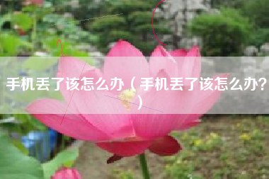 手机丢了该怎么办（手机丢了该怎么办？）