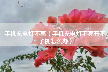 手机充电灯不亮（手机充电灯不亮开不了机怎么办）