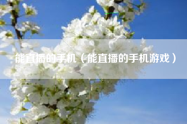 能直播的手机（能直播的手机游戏）