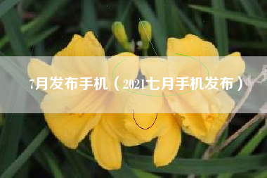 7月发布手机（2021七月手机发布）