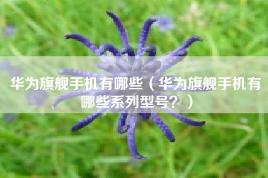 华为旗舰手机有哪些（华为旗舰手机有哪些系列型号？）