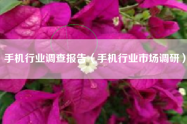 手机行业调查报告（手机行业市场调研）