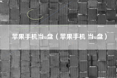 苹果手机当u盘（苹果手机 当u盘）
