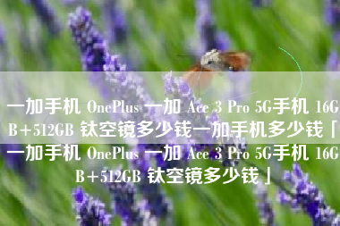一加手机 OnePlus 一加 Ace 3 Pro 5G手机 16GB+512GB 钛空镜多少钱一加手机多少钱「一加手机 OnePlus 一加 Ace 3 Pro 5G手机 16GB+512GB 钛空镜多少钱」
