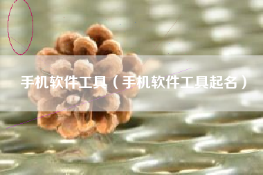 手机软件工具（手机软件工具起名）