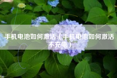 手机电池如何激活（手机电池如何激活不充电）