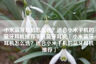 小米蓝牙耳机怎么选？适合小米手机的蓝牙耳机推荐手机蓝牙耳机「小米蓝牙耳机怎么选？适合小米手机的蓝牙耳机推荐」