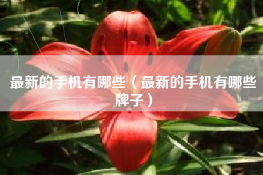 最新的手机有哪些（最新的手机有哪些牌子）