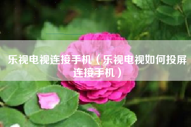 乐视电视连接手机（乐视电视如何投屏连接手机）