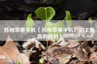 苏州苹果手机（苏州苹果手机厂招工是真的假的）