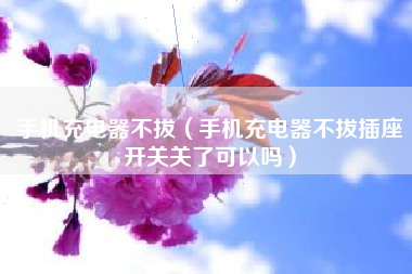 手机充电器不拔（手机充电器不拔插座开关关了可以吗）