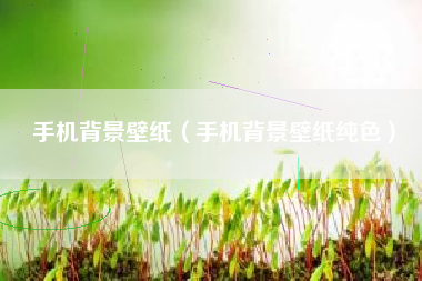 手机背景壁纸（手机背景壁纸纯色）
