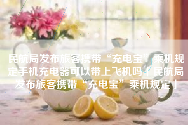 民航局发布旅客携带“充电宝”乘机规定手机充电器可以带上飞机吗「民航局发布旅客携带“充电宝”乘机规定」