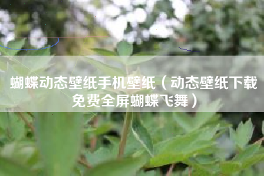 蝴蝶动态壁纸手机壁纸（动态壁纸下载免费全屏蝴蝶飞舞）