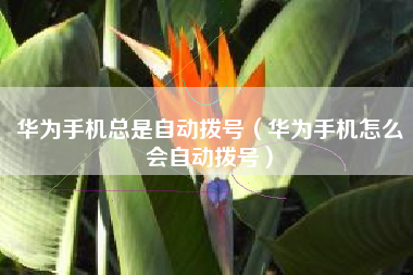 华为手机总是自动拨号（华为手机怎么会自动拨号）
