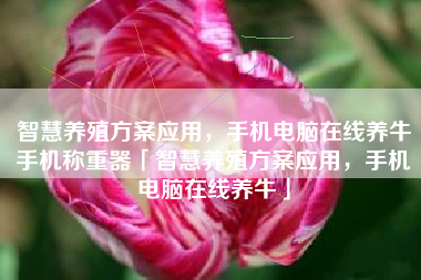 智慧养殖方案应用，手机电脑在线养牛手机称重器「智慧养殖方案应用，手机电脑在线养牛」