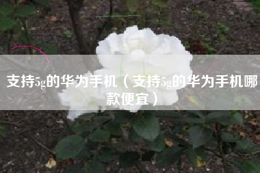 支持5g的华为手机（支持5g的华为手机哪款便宜）