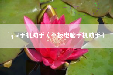 ipad手机助手（平板电脑手机助手）
