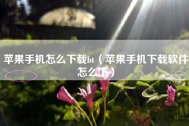 苹果手机怎么下载bt（苹果手机下载软件怎么下）