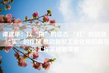 谭建华：以“拼”的姿态 “盯”的韧劲 “实”的作风 推动新型工业化和招商引资工作实现新突破