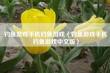 钓鱼游戏手机钓鱼游戏（钓鱼游戏手机钓鱼游戏中文版）
