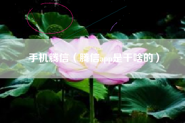手机腾信（腾信app是干啥的）