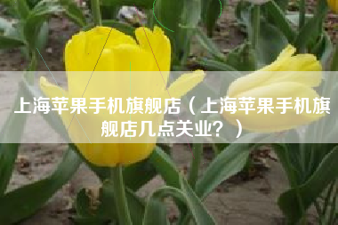 上海苹果手机旗舰店（上海苹果手机旗舰店几点关业？）