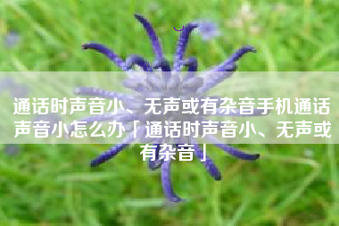 通话时声音小、无声或有杂音手机通话声音小怎么办「通话时声音小、无声或有杂音」