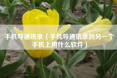 手机导通讯录（手机导通讯录到另一个手机上用什么软件）