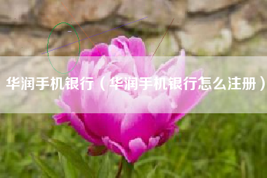 华润手机银行（华润手机银行怎么注册）