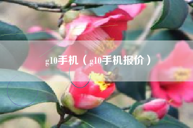 g10手机（g10手机报价）