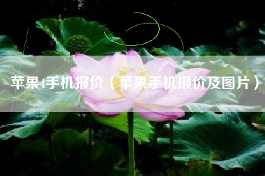 苹果4手机报价（苹果手机报价及图片）
