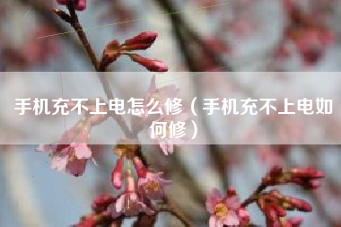 手机充不上电怎么修（手机充不上电如何修）