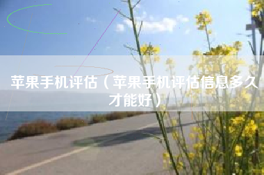 苹果手机评估（苹果手机评估信息多久才能好）