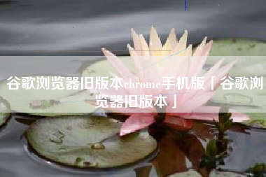 谷歌浏览器旧版本chrome手机版「谷歌浏览器旧版本」