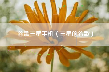谷歌三星手机（三星的谷歌）