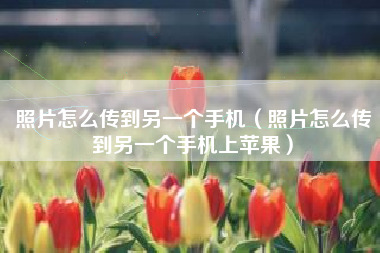 照片怎么传到另一个手机（照片怎么传到另一个手机上苹果）