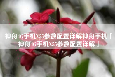 神舟4G手机X55参数配置详解神舟手机「神舟4G手机X55参数配置详解」