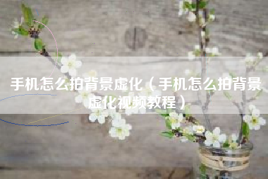 手机怎么拍背景虚化（手机怎么拍背景虚化视频教程）