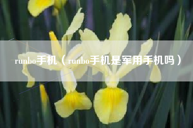 runbo手机（runbo手机是军用手机吗）