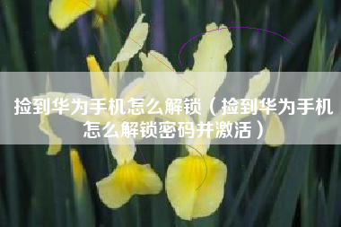 捡到华为手机怎么解锁（捡到华为手机怎么解锁密码并激活）