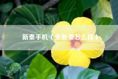 新秦手机（全新秦怎么样）