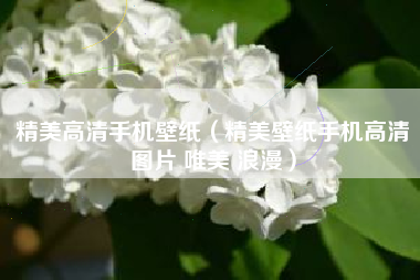 精美高清手机壁纸（精美壁纸手机高清图片 唯美 浪漫）