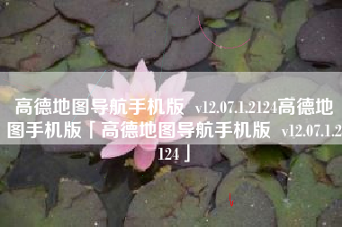 高德地图导航手机版  v12.07.1.2124高德地图手机版「高德地图导航手机版  v12.07.1.2124」
