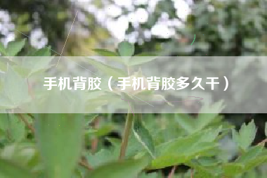 手机背胶（手机背胶多久干）