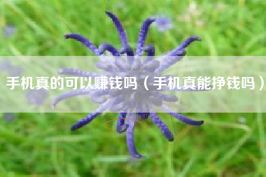 手机真的可以赚钱吗（手机真能挣钱吗）